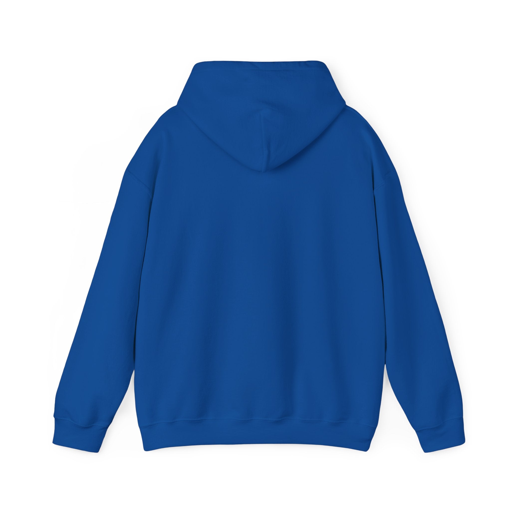 Eye Don't Chase Hooded Sweatshirt